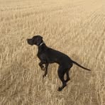 David Carazo - Facebook Profile Picture of David Carazo (@david.carazo.902) on Facebook