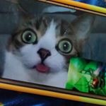 Profile Picture of Kevin Polanco (@kevin.polanco.167527) on Instagram