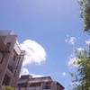 Profile Picture of Randy Wu (@@randywu67) on Tiktok