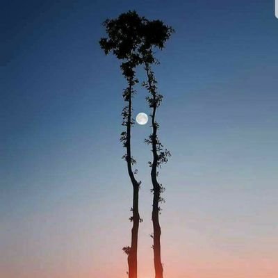 Profile Picture of Jonathan Thomason (@agilejrt) on Twitter