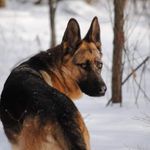 Profile Picture of Jonathan Funk (@funk.jon) on Instagram