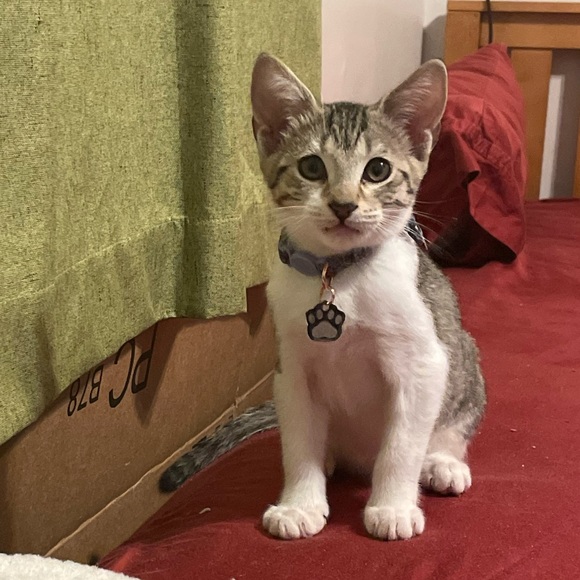 Profile Picture of Devin Ball (@devin_ball) on Poshmark