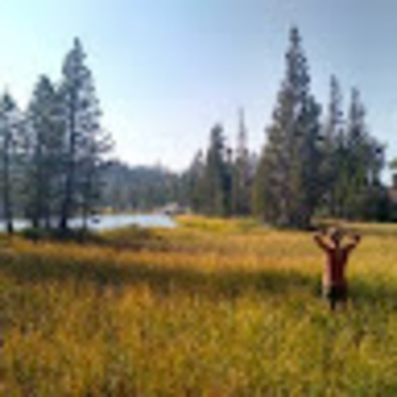 Profile Picture of Laura Mroue (@colli485) on Poshmark