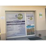 Profile Picture of Antonella Rita Pasquino (@patronato_pasquino) on Instagram