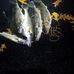 Profile Picture of Daniel Mast (@daniel.mast.3511) on Facebook