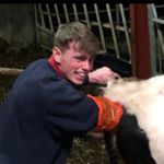 Profile Picture of Jim Galvin Whelan (@jim_galvin_whelan) on Instagram