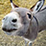 Profile Picture of Kevin Williams (@kevin's space) on Flickr