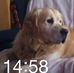 Profile Picture of Margaret Corr (@margaret.corr.148) on Facebook