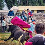 Profile Picture of Adrian Cobos (@adrian.cobos05) on Instagram