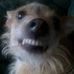 Profile Picture of David Glantz (@david.glantz.73) on Facebook