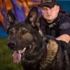 Profile Picture of American Standard Dog Training (@american.standard0) on Tiktok