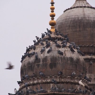 Anjani Datla - Twitter Profile Picture of Anjani Datla (@anjanidatla) on Twitter