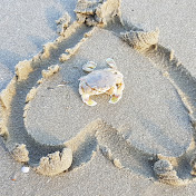 Profile Picture of Herbert Mueller (@herbertmueller7098) on Youtube