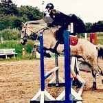 Profile Picture of Alexandra Mortensen (@alexandra_showjumper) on Instagram