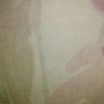 Profile Picture of Deborah Armstrong (@deborah.armstrong.142240) on Instagram