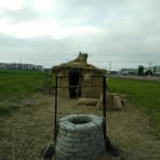 Profile Picture of 陳翠玲 (@陳翠玲) on Facebook