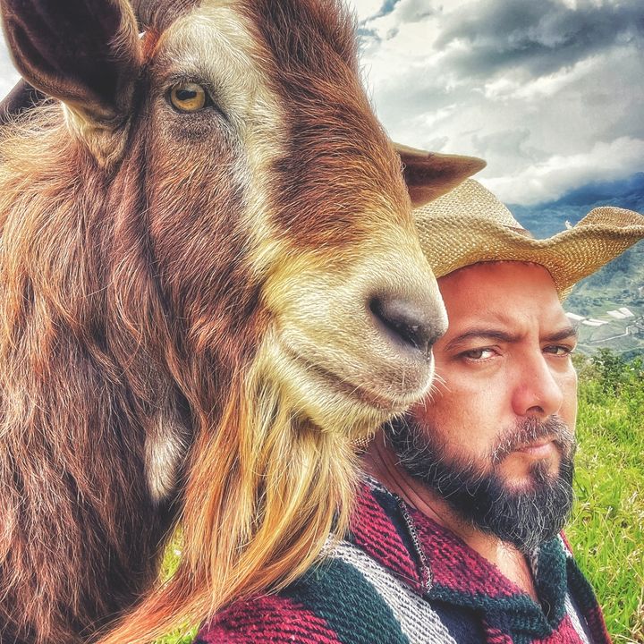 Profile Picture of Davis Travis (@@lacasitadelbosque) on Tiktok