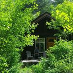 Profile Picture of Michael David Fury (@salt_dispensary) on Instagram