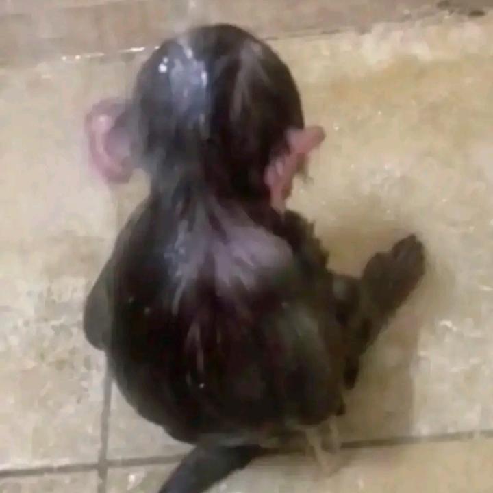 Profile Picture of Luke Joseph (@lukej543) on Tiktok