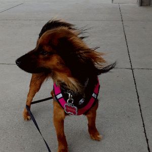 Profile Picture of Crystal Wysong198 (@crystalwysong198) on Tiktok