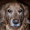 Profile Picture of Mackenzie Schmidt (@funnymac0127) on Flickr