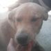 Profile Picture of Geraldine Falcon (@geraldine.falcon.1276) on Facebook