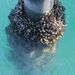 Profile Picture of Jason Jones (@jasonjonesphoto) on Pinterest