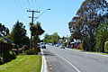 Profile Picture of Cust, New Zealand - Wikipediaon Wikipedia