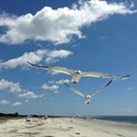 Profile Picture of Larry Kohlhoff (@larry-kohlhoff) on Quora