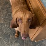 Profile Picture of luckyloretta1981 (@luckyloretta1981) on Instagram