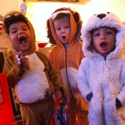 Profile Picture of Alan Pearce (@AlanpearceCo) on Twitter