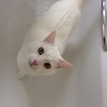 Profile Picture of David Hainey (@dchainey100) on Instagram