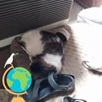 Profile Picture of Scott Haun (@scott.haun.2025) on Facebook