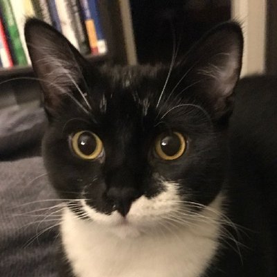 Profile Picture of Joseph Pechacek (@Disco_Cosmonaut) on Twitter