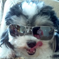 Profile Picture of Darren Schwartz (@darren-schwartz-2) on Quora