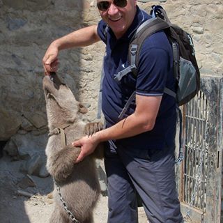 Profile Picture of Andrea Bertoni (@Andrea-Bertoni) on Facebook