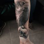 Profile Picture of Randy de Boer (@randy.deboer) on Instagram