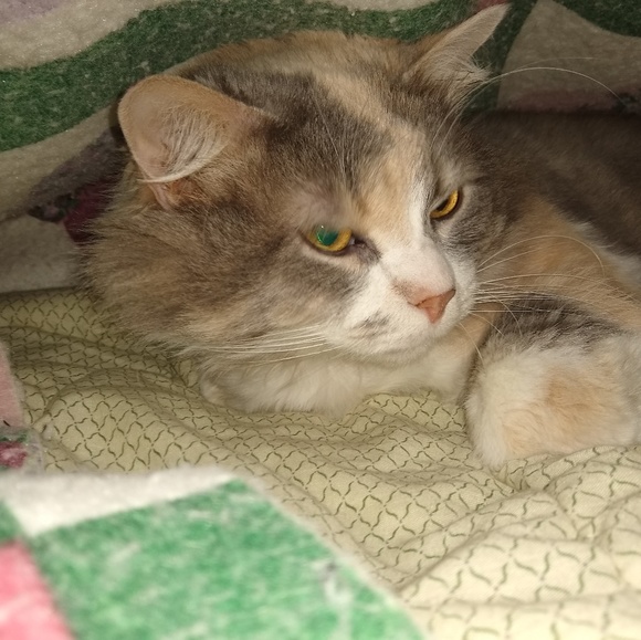 Profile Picture of Scott Grimshaw (@scooter7010) on Poshmark