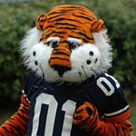 Profile Picture of Daniel Nolin (@daniel.nolin.77) on Instagram