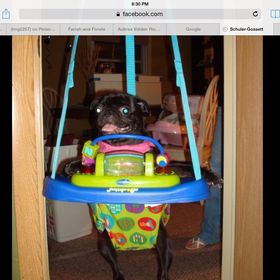 Lynn Gossett-Finch - Pinterest Profile Picture of Lynn Gossett-Finch (@lmg2257) on Pinterest