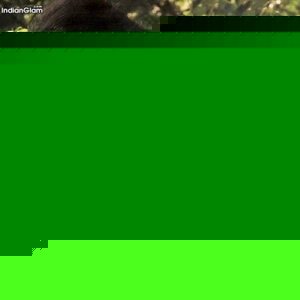 Profile Picture of Akash Bajpai (@244861529) on Myspace