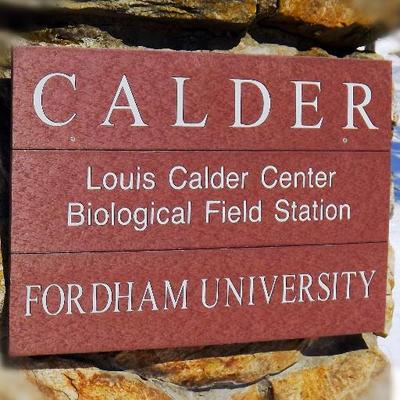 Profile Picture of Louis Calder Center (@LouisCalderCtr) on Twitter