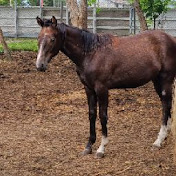 Profile Picture of Jonathan Larocque (@jonathanlarocque8458) on Youtube