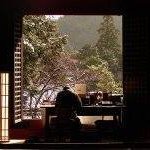 Profile Picture of Allen Dean Beebe (@trueaiki) on Instagram
