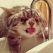 Profile Picture of Muhammad Nazri (@zeta_kar3nboy) on Pinterest