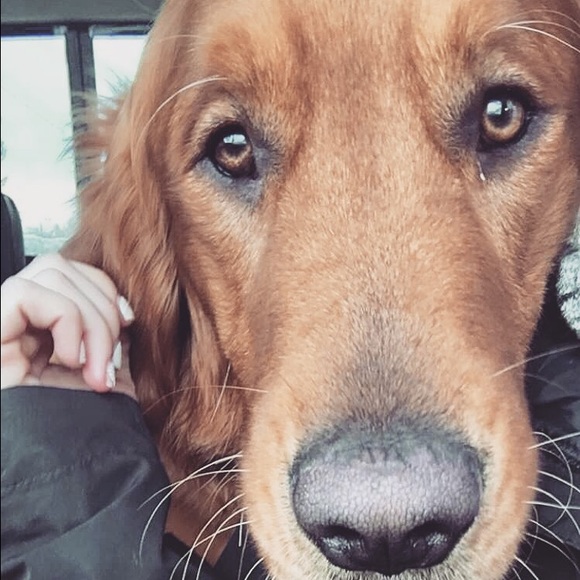 Profile Picture of Joy Vanassche (@joyboyyy) on Poshmark