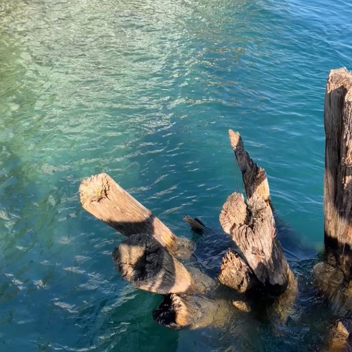 Profile Picture of 𝕱𝖎𝖓𝖓𝖊𝖌𝖆𝖓 (@finn3903) on Tiktok