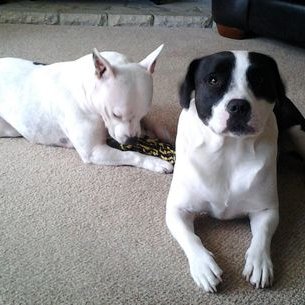 Profile Picture of Marian Bradshaw (@MarianBradsha14) on Twitter