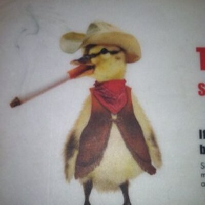 Profile Picture of Josh Spiers (@Rubberduck3388) on Twitter