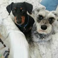 Profile Picture of Michele Henning (@michele-henning-6) on Quora